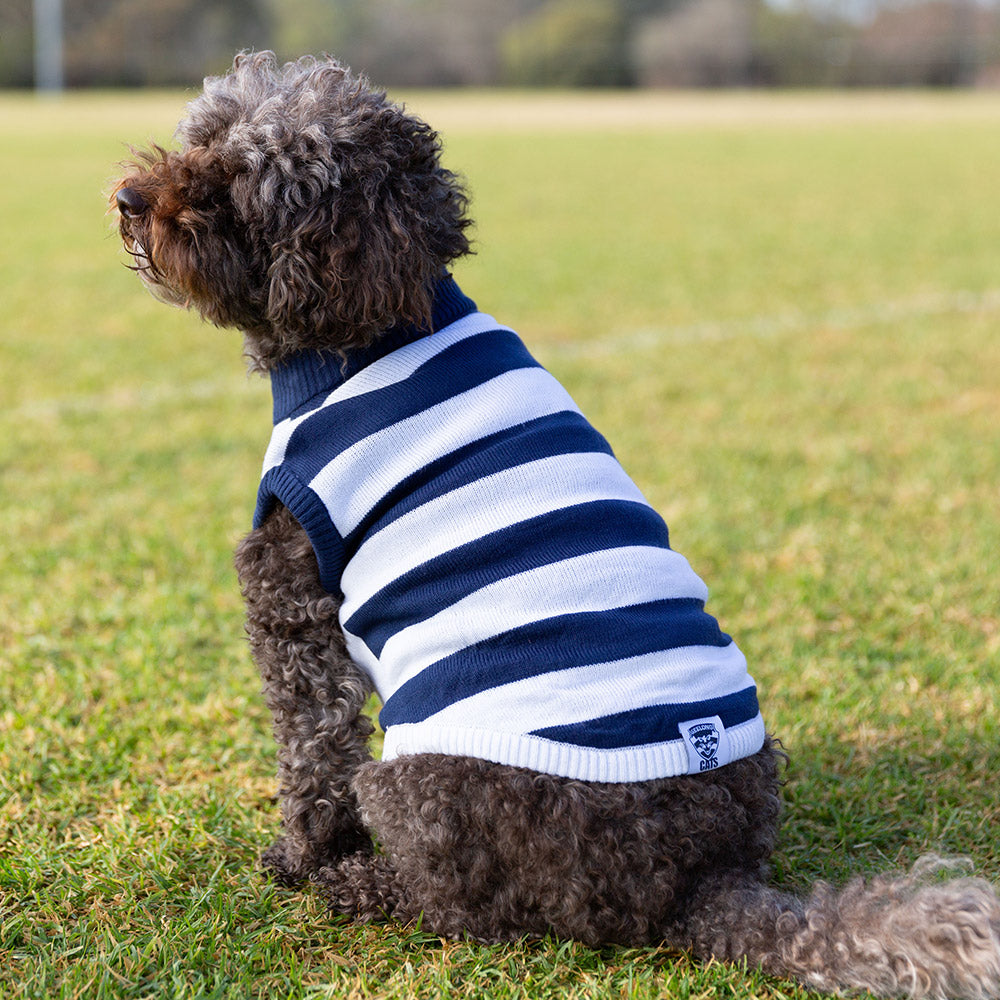 Kmart Australia Dog Sweater Kmart Dog Clothes Dog Life Jacket