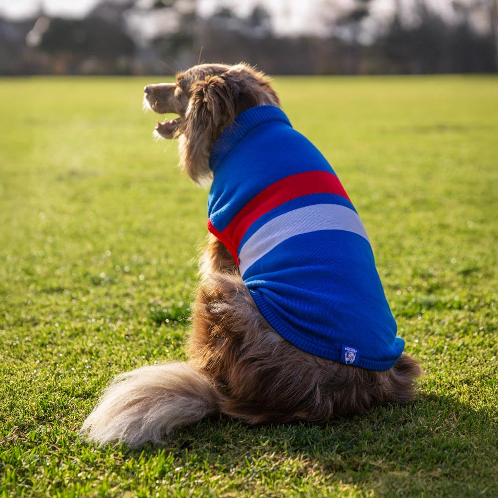 Western Bulldogs Dog Jumper Large – The AFL Store