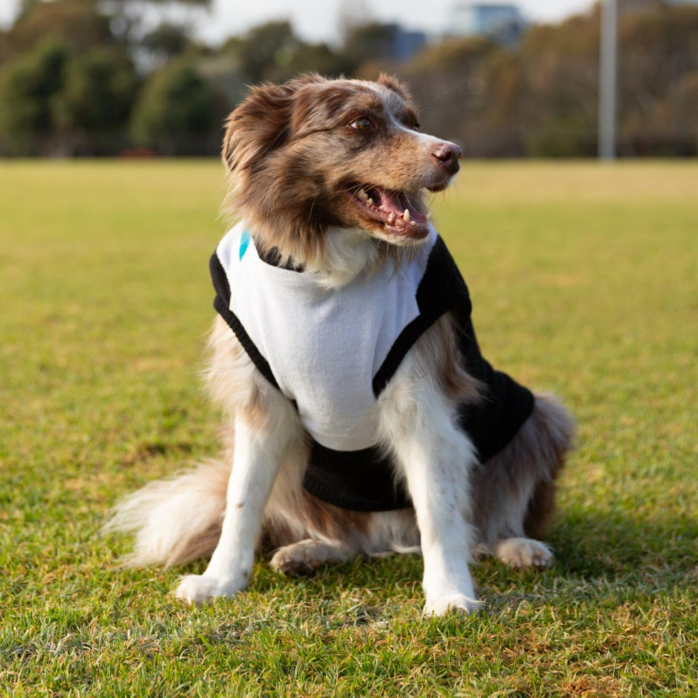Port Adelaide Dog Jumper - Large – The AFL Store